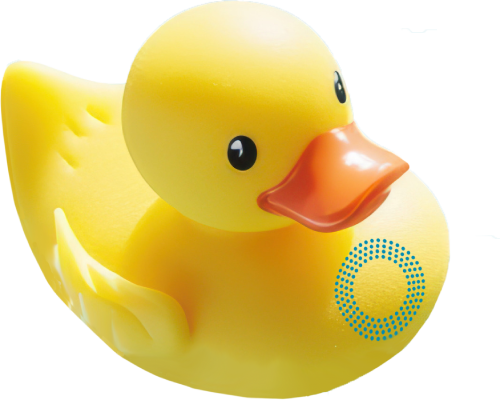 Rubber duck